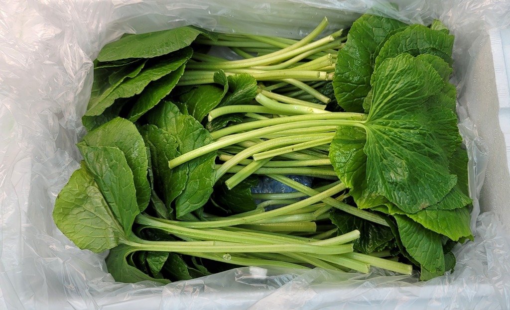 Premium Wasabi Products